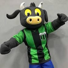 Soy Tito el torito de mataderos… Hincha del Club Atlético Nueva Chicago, cómo así también, su mascota habitual… Podrán imitarme.. igualarme jamás…