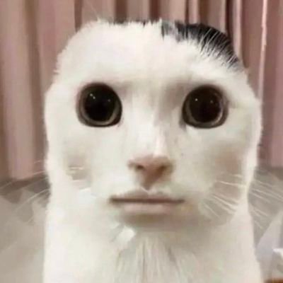 redpiill's profile picture. no good deed goes unpunished