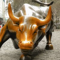 Bullhala (@blobullparade) 's Twitter Profile