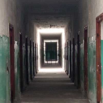 MarinoSale2's profile picture. 