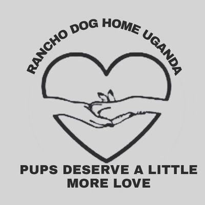 A HOME OF LOVE FOR RESCUED ABANDONED AND HOMELESS DOGS BASICALLY TO SHOW THEM LOVE AND PUSH LIFE FOR THEM🐾🐕