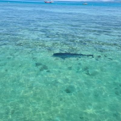 paulbuat's profile picture. 