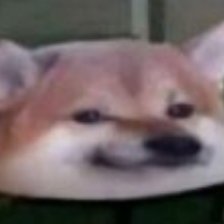 Duck01113235's profile picture. hello