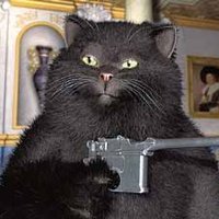 AlFaforward (@afaforward) 's Twitter Profile