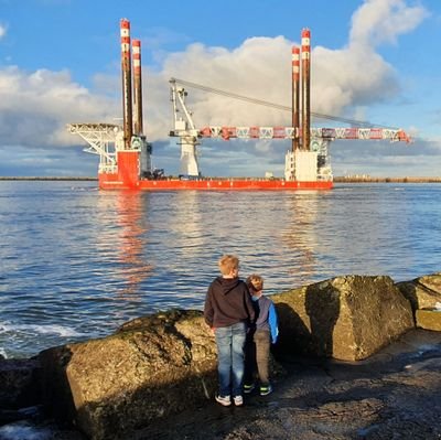 DKikkert's profile picture. 