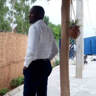 bennardo9's profile picture. Crypto Enthusiast
