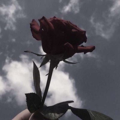 إجعلها الوحيدة في قلبك وستجعلكَ الوحيد في حياتها كلها.