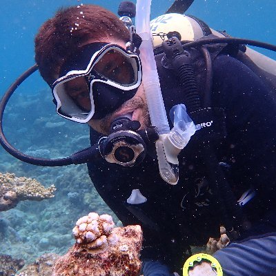 Reader in Coral Reef Ecology at Newcastle University. PI of @Coralassist_Lab. Favorite activity: swimming over a healthy coral reef!