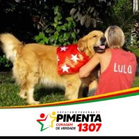 kika 🚩🚩🇧🇷♥️#LulaÉPresidenteDoBrasil(@ericalima32) 's Twitter Profile Photo