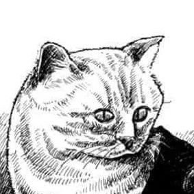 Shrikanthabudya's profile picture. I write mediocre code.