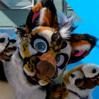 Argus Pouncely🐾 ➡️ OW, FurEh? (@arguspounce) 's Twitter Profile Photo