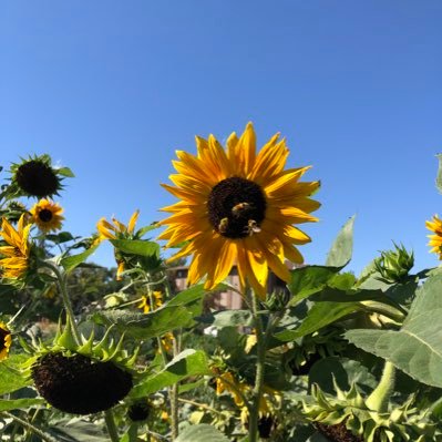 RitaGore10's profile picture. Curious, seeker of stories, Enjoy photography, steady reader, sporadic writer, hiking, yoga and good coffee.