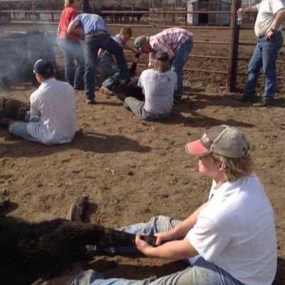 Assman Land and Cattle. American Bison and Organic Farming. One of my favorite things to do is bite off more than I can chew. Founder of Dakota Pure Bison.