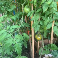 Amanda Godfrey (@amandagodfrey4) 's Twitter Profile