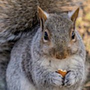 greeeeeynut's profile picture. An idiot from Shanghai China and currently lives in California