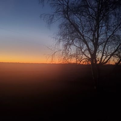 Ralph733's profile picture. 