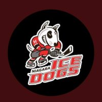 David Robertson (@davidro42061216) 's Twitter Profile