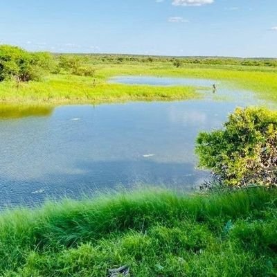 Abdifatah_Hikam's profile picture. Researcher and independent Consultant..