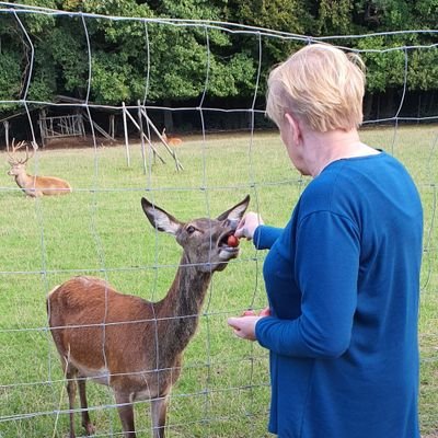 jolandahartman's profile picture. 