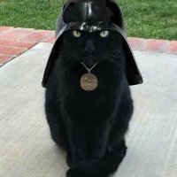 Тетяна Кіт (@kittetiana) 's Twitter Profile Photo Тетяна Кіт (@kittetiana) 's Twitter Profile Photo