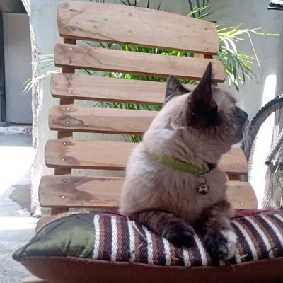 _lahrta's profile picture. 