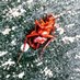 Pyrrhon_Trash (@pyrrhon_band) Twitter profile photo Pyrrhon_Trash (@pyrrhon_band) Twitter profile photo