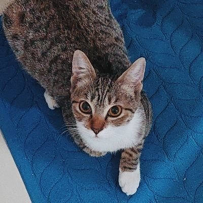 helvanifunny's profile picture. on the Journey...