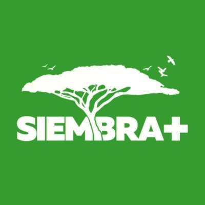 💚Siembra Más: Más verde, más vida. 🌳Arborización, paisajismo, mantenimiento de zonas verdes y servicios ambientales. 📞 3184028522 📩contacto@siembramas.co