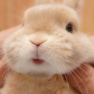 gtYhiKwj65aphFW's profile picture. 毎日超絶繁忙期でも自由度高め/セフゆる募/全力投球