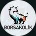 BORSAKOLİK (@BORSAKOLK1) Twitter profile photo