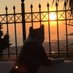 konos (@konos1795) Twitter profile photo konos (@konos1795) Twitter profile photo