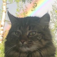 Psychonaut Notta Bot π¦ββ¬ (@capnmacboogie1) 's Twitter Profile