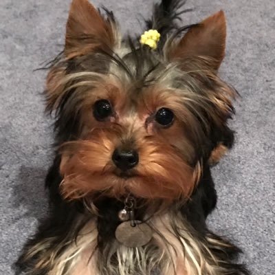 kicvesm's profile picture. Farmer