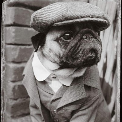 JamesQuaid517's profile picture. 