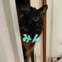 ユウ☚さび猫ちゃん🍭🐱🛼(@mimypoke) 's Twitter Profile Photo