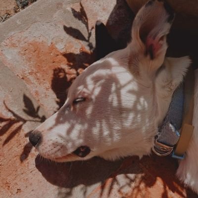 Agustinaojeda2's profile picture. Productora de Radio y Tv📺
@BuenosChicosArg @PolkaProd