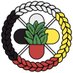 Indigenous Pharmacy Professionals of Canada (@IndigenousPharm) Twitter profile photo