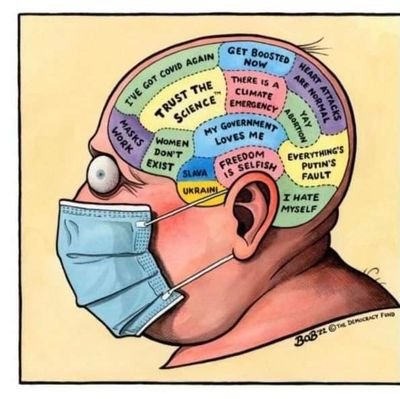 LeeHoll16079768's profile picture. 