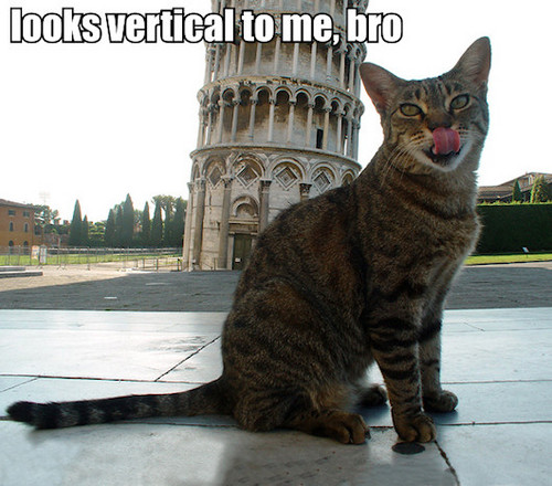 MustBeSomething's profile picture. MustBeSomething is probably a good thing.