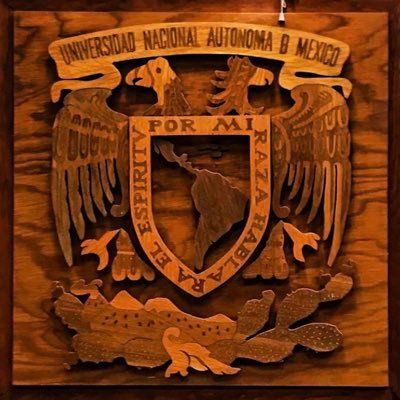 drfelipeabundes's profile picture. 