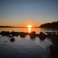 Daily Inspiration(@onlinemaestro_) 's Twitter Profile Photo Daily Inspiration(@onlinemaestro_) 's Twitter Profile Photo