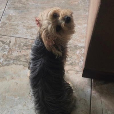 Gabrielanv94's profile picture. 