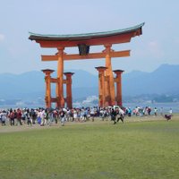 Hampshire WSJ (@hampshire_wsj) 's Twitter Profile Photo