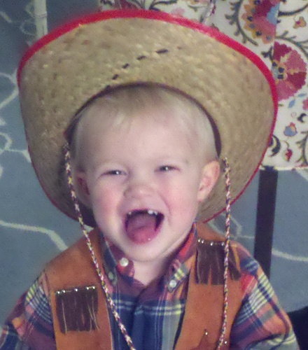 Thesittingdan's profile picture. 