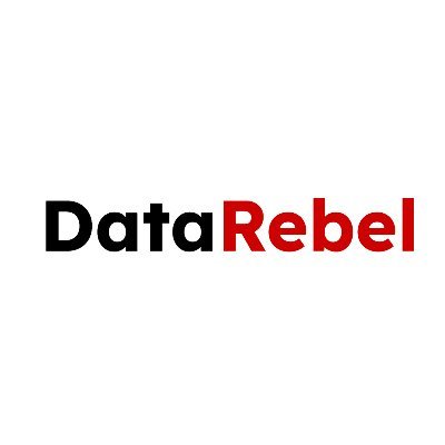 DataRebel_io Profile Picture