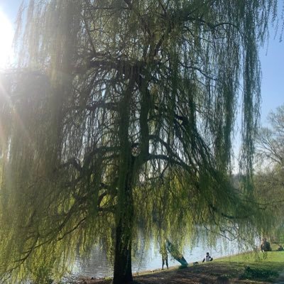 luma_cool's profile picture. 