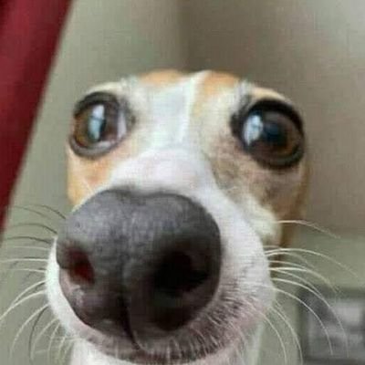Ejunio8's profile picture. 🤪