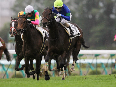 leggiane's profile picture. 