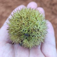 ck dâm (@thanhkannd) 's Twitter Profile Photo