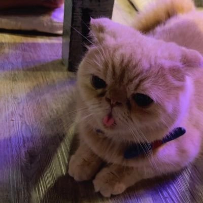 SantamonWanchai's profile picture. 